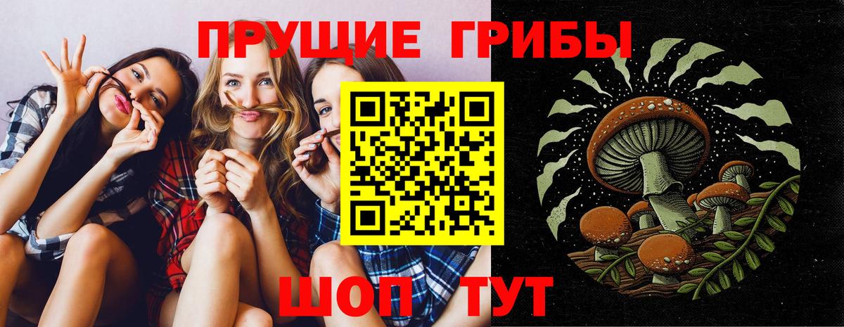 Псилоцибиновые грибы ЛСД  Вход с VPN  Галлюциногенные грибы прущие грибы  Лесосибирск 