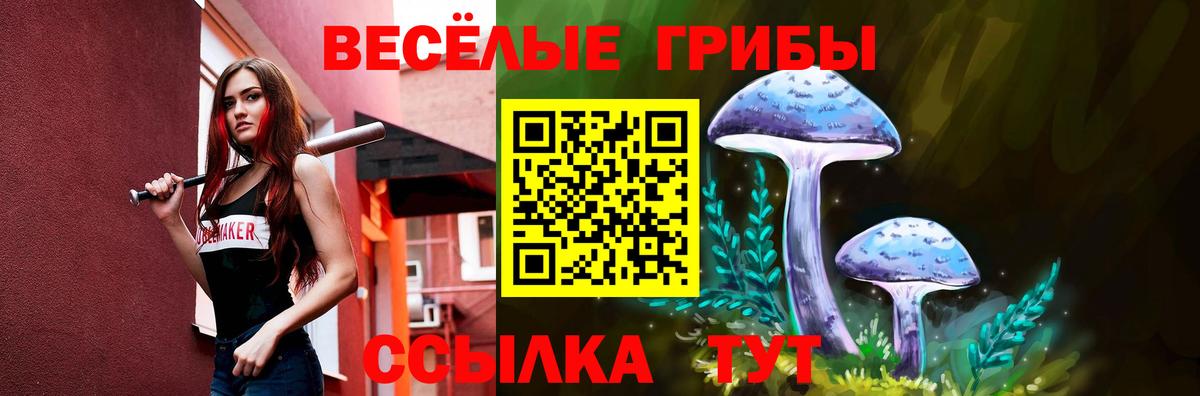 Псилоцибиновые грибы прущие грибы Лесосибирск